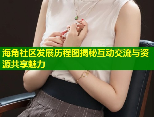 海角社区发展历程图揭秘互动交流与资源共享魅力