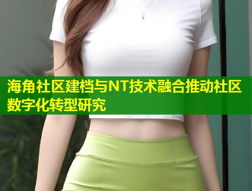 海角社区建档与NT技术融合推动社区数字化转型研究