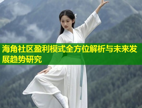 海角社区盈利模式全方位解析与未来发展趋势研究  第2张