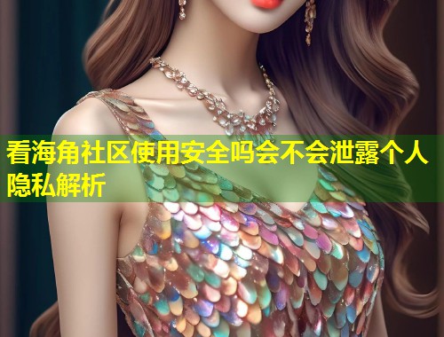 看海角社区使用安全吗会不会泄露个人隐私解析
