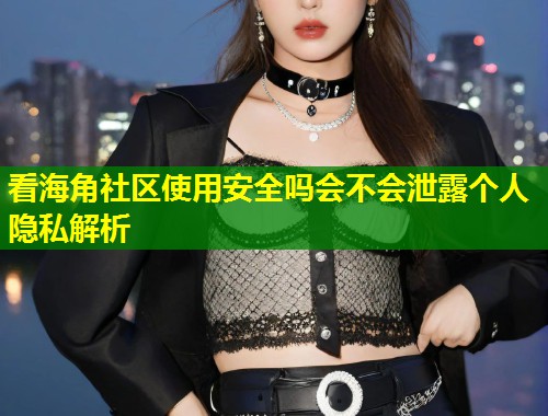 看海角社区使用安全吗会不会泄露个人隐私解析  第2张
